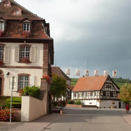 Authentic Apartment On The Alsace Wine Route Close To Cycling Trails, Easy Access, Private Garage Marlenheim Exterior foto