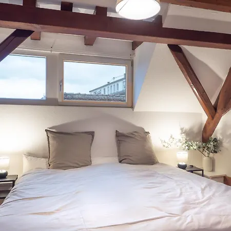 Authentic Apartment On The Alsace Wine Route Close To Cycling Trails, Easy Access, Private Garage Marlenheim Exterior foto