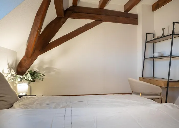 Authentic Apartment On The Alsace Wine Route Close To Cycling Trails, Easy Access, Private Garage
