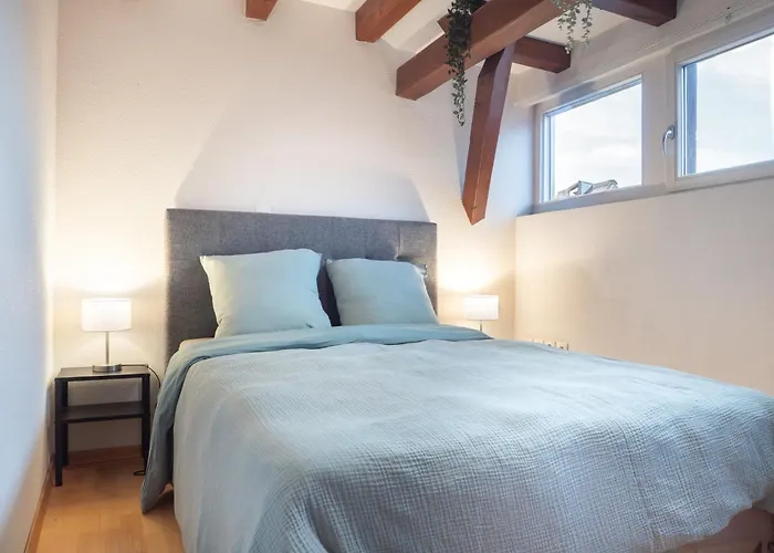 Authentic Apartment On The Alsace Wine Route Close To Cycling Trails, Easy Access, Private Garage