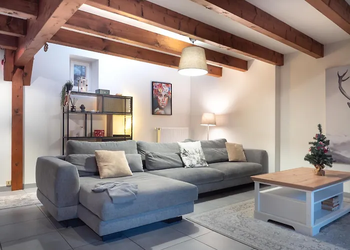 Authentic Apartment On The Alsace Wine Route Close To Cycling Trails, Easy Access, Private Garage