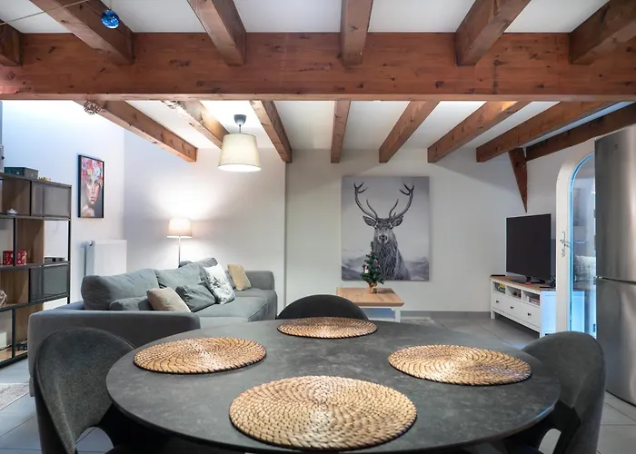 Authentic Apartment On The Alsace Wine Route Close To Cycling Trails, Easy Access, Private Garage