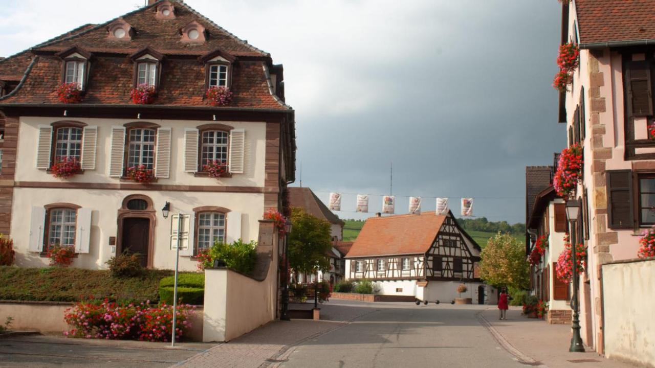 Authentic On The Alsace Wine Route Close To Cycling Trails, Easy Access, Private Garage * Marlenheim