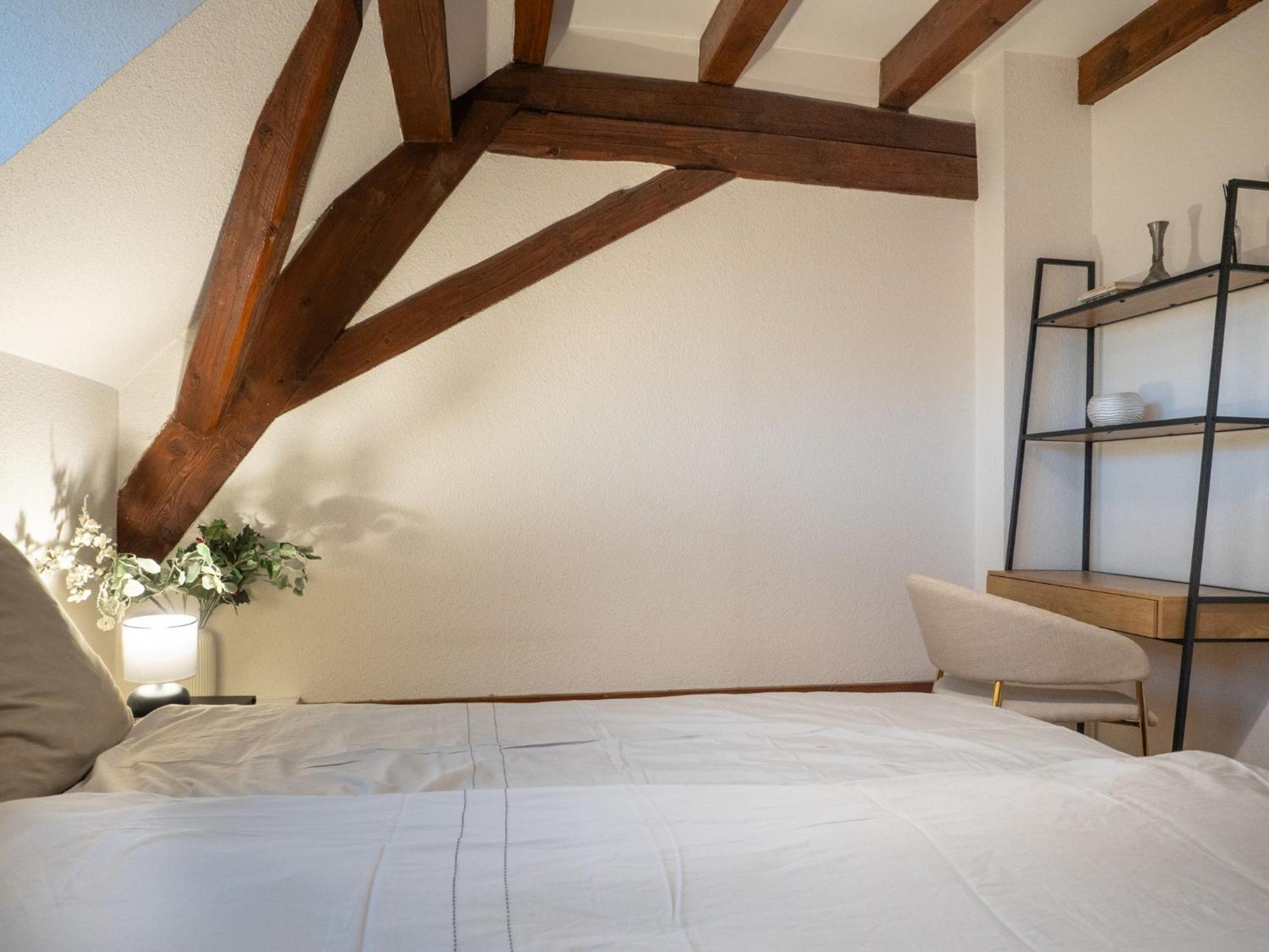 Authentic On The Alsace Wine Route Close To Cycling Trails, Easy Access, Private Garage Apartment Marlenheim