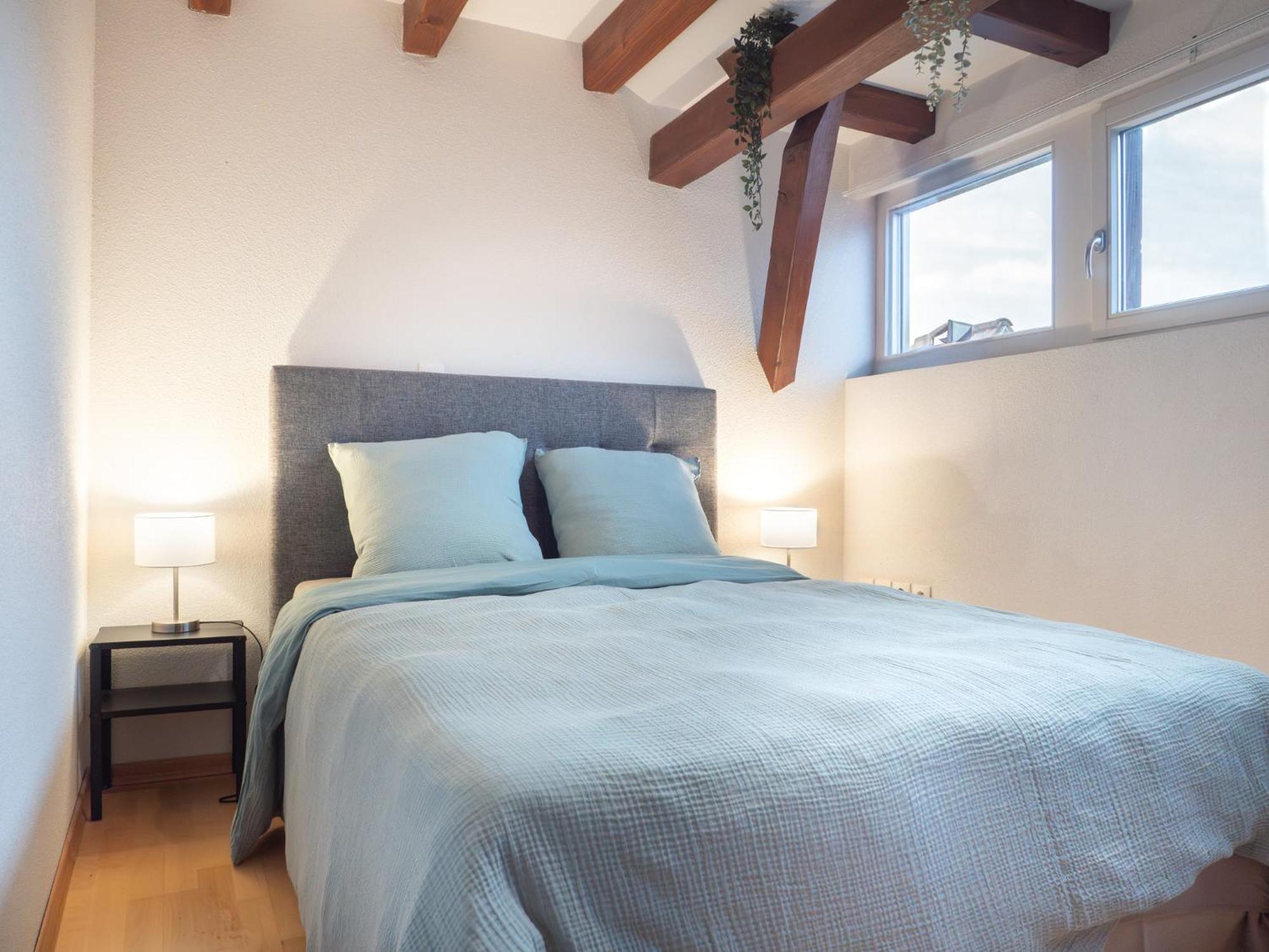 Authentic On The Alsace Wine Route Close To Cycling Trails, Easy Access, Private Garage * Marlenheim
