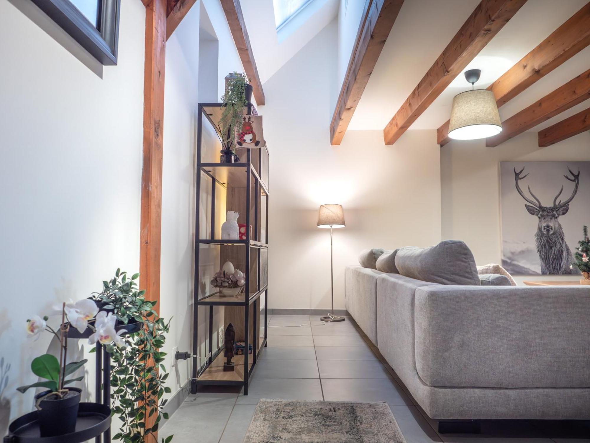 Appartement Authentic On The Alsace Wine Route Close To Cycling Trails, Easy Access, Private Garage