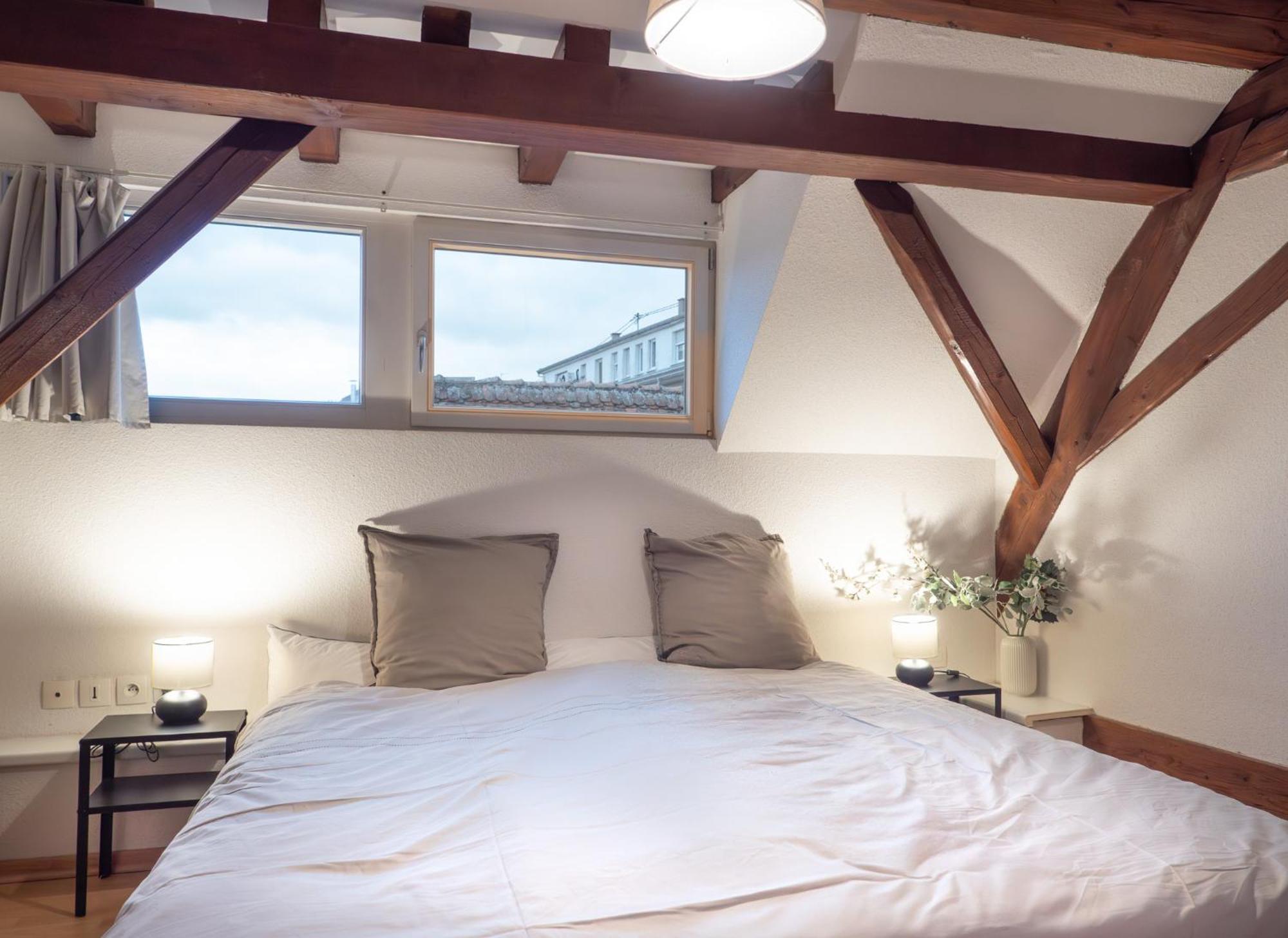 Authentic On The Alsace Wine Route Close To Cycling Trails, Easy Access, Private Garage Apartment Marlenheim